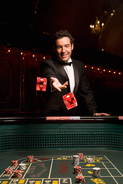 Dragon Tiger betting layout on imba live table. Dragon Tiger card game layout with betting positions